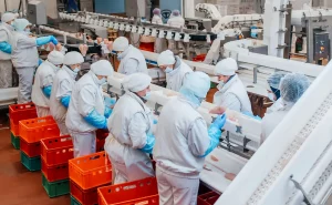Simulação computacional em linhas de produção