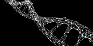 Banner Institutos (13)