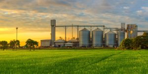 O Sistema Inteligente de Retífica Automatizada (SIRA) da BUNGE é um projeto inovador que impacta a produção de soja.